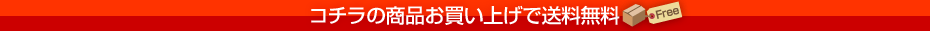 送料無料