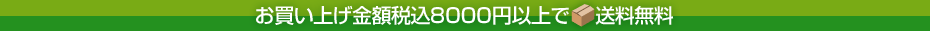 8000�߰ʾ�����̵��