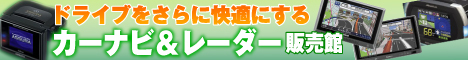 カーナビレーダー探知機ワンセグ 激安 通販