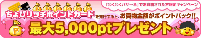 ����5,000pt�ץ쥼���