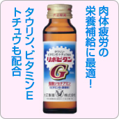 ��ݥӥ���G
