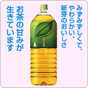 ����� ���� 2L*6��