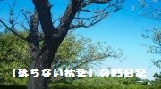 ����ʤ����դ���