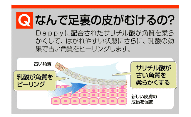 �_�b�s�[ �łȂ�Ŕ炪�ނ���́H