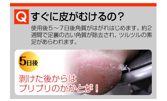 �_�b�s�[ �����ɔ炪�ނ���́H