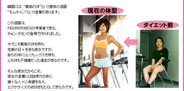 �`�����E�_���� FIGURE ROBICS �t�B�M���A���r�N�X DVD4���Z�b�g