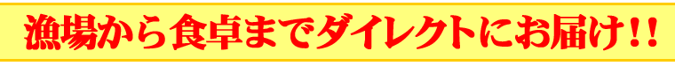 �ܥޥ�����ȥ����꿩�ٿԤ�ʡ�� 2.3kg������ľ<p><img src=