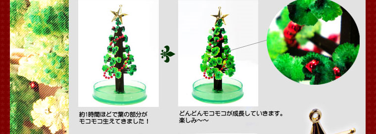 マジッククリスマスツリー ホワイト 3個セット