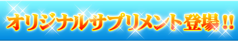 サイクルツイスタースリム