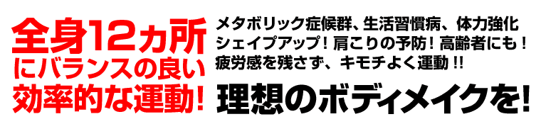 サイクルツイスタースリム