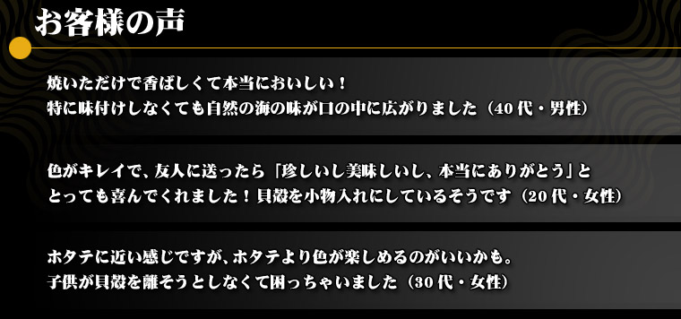 伊勢志摩産 緋扇貝（ヒオウギガイ）