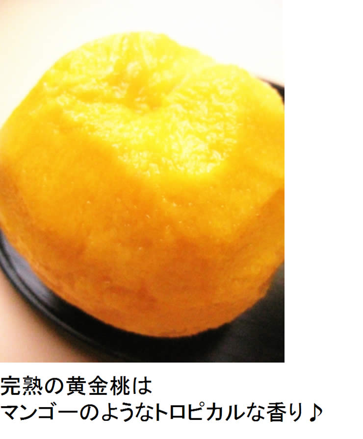黄金桃紹介