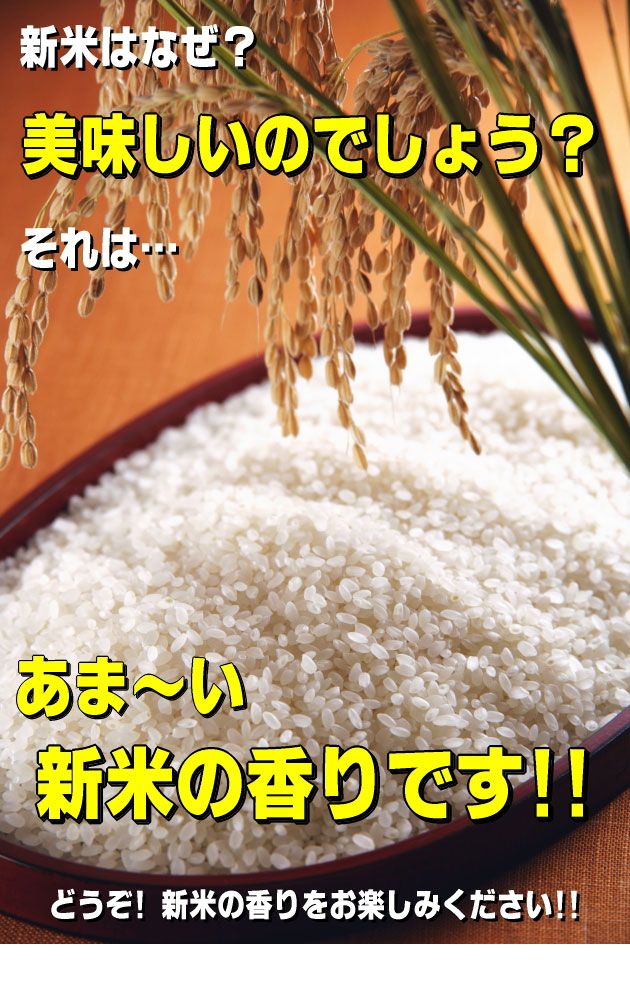 千葉県産あきたこまち