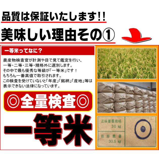 千葉県産あきたこまち