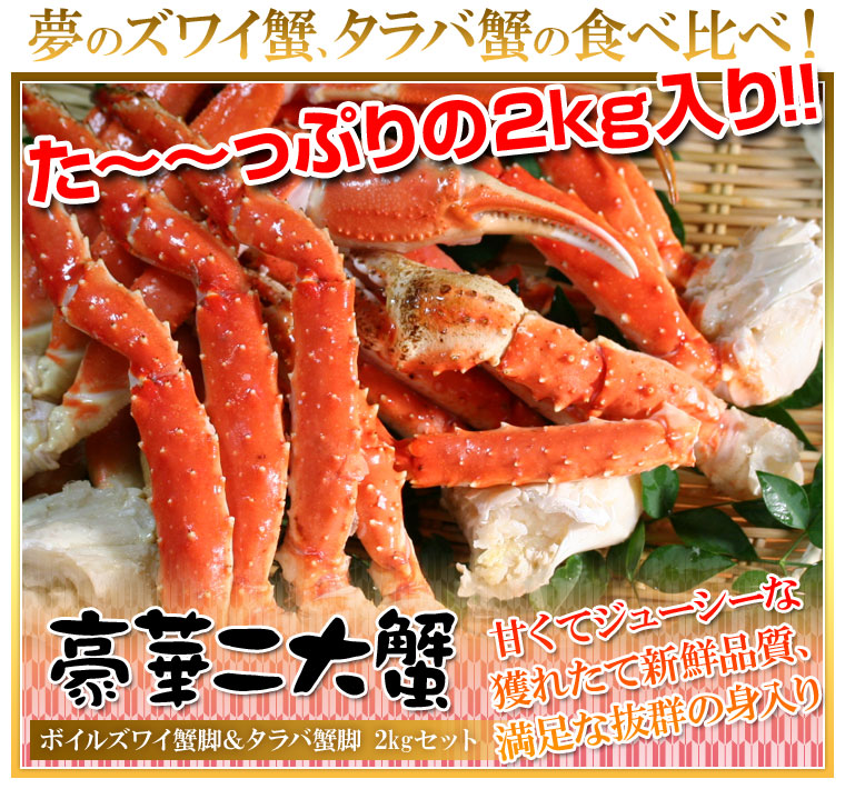 お試しセット