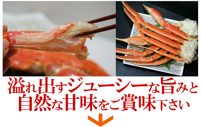 お試しセット