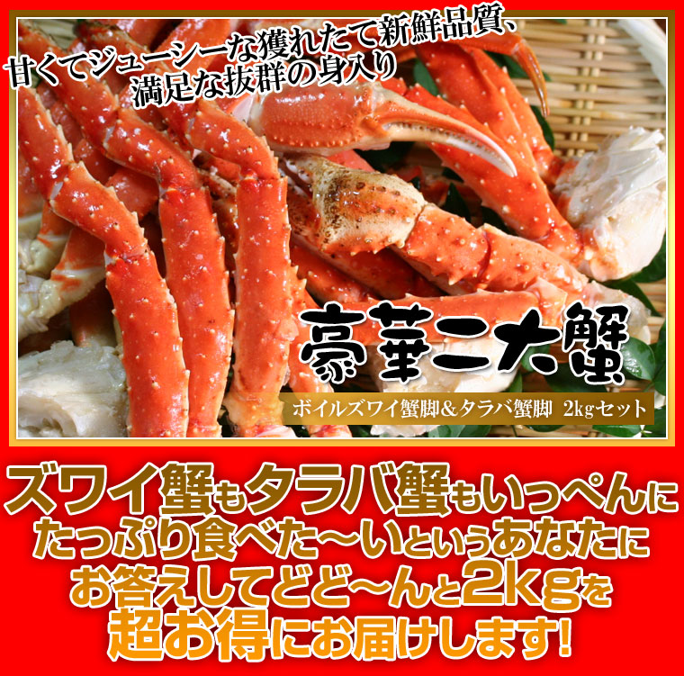 お試しセット