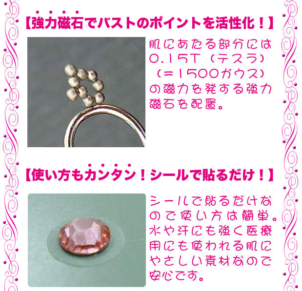 強力磁石でバストのポイントを活性化