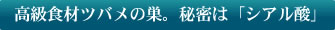 ��鿩��ĥХ������̩�ϥ������