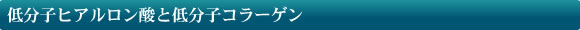 ��ʬ�ҥҥ�����������ʬ�ҥ��顼����