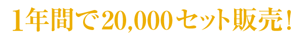 1年間に20000セット販売!