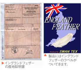 イングランドフェザー産地証明書