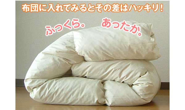 フェザーとイングランドフェザーの違い