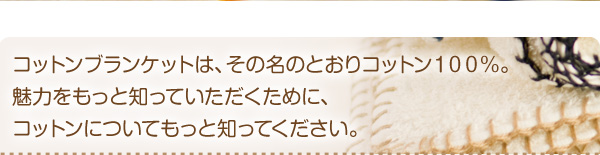 ���炩�ӂ���R�b�g���u�����P�b�g