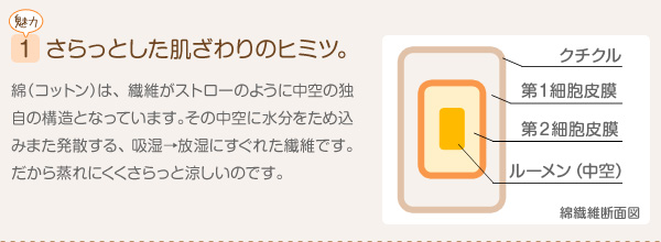 ���炩�ӂ���R�b�g���u�����P�b�g