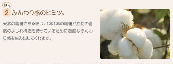 ���炩�ӂ���R�b�g���u�����P�b�g