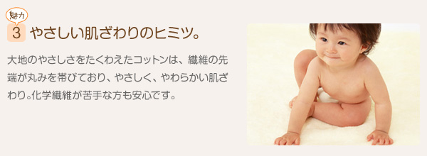 ���炩�ӂ���R�b�g���u�����P�b�g
