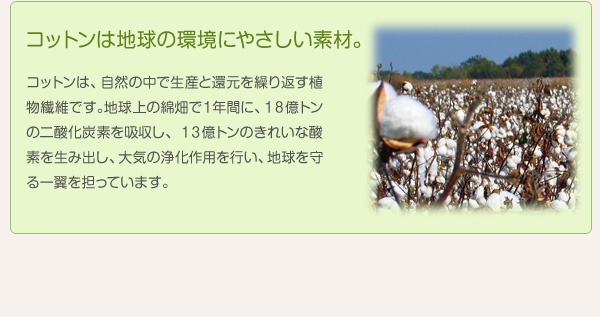 ���炩�ӂ���R�b�g���u�����P�b�g