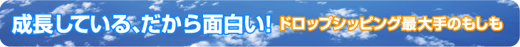 成長してる、だから面白い!〜ドロップシッピング最大手のもしも〜