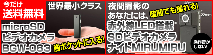 SD�ӥǥ�