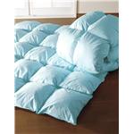 選べる12色！羽根掛布団　ダブル　ブルー