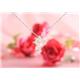 ROSSONA����������ɥ��쥯�����0.3ctŷ��������20�Хڥ�����(Heart��Box�Ĥ�) Classic Cross �̿�2