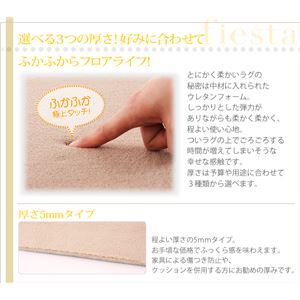 マイクロファイバーラグ 【fiesta】 フィエスタ ブラウン 厚さ5mmタイプ190×240cm