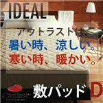オールシーズン温度調整素材アウトラスト(R)シリーズ 【IDEAL】アイディール 敷パッド(ダブル) アイボリー