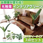 お部屋が変わる！光触媒インテリアグリーン3点セット【バラエティータイプ】 ワンルームの詳細ページへ
