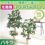 今人気の15種類から選ぶ光触媒インテリアグリーン【パキラ90】の詳細ページへ