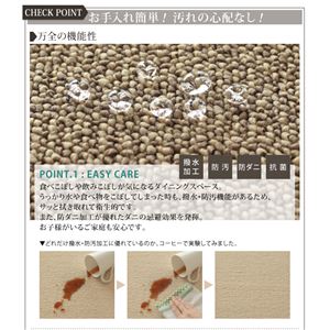 ラグマット 220&times;250cm【Safes】ブラウン 撥水・防汚・防ダニ・抗菌ダイニングラグ【Safes】サフィス