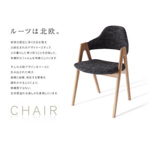 【テーブルなし】チェア2脚セット【ILALI】チャコールグレイ 北欧モダンデザインダイニング【ILALI】イラーリ/チェア(2脚組)