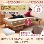 4万円で買えるセミシングルベッド