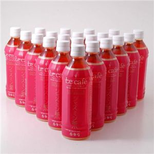 茶香坊　ルカフェ　ジャスミン茶　500ml×48本