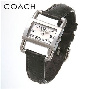 COACH ʥ˥֥饤 쥶å 14500717 ֥å