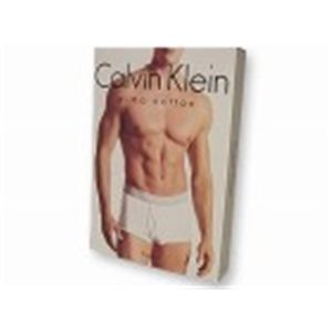 Calvin Klein （カルバンクライン） アンダーウエア ボクサータイプ ブリーフパンツ U5805 BL(T78) サイズS 通販