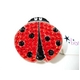 bonjoc(ボンジョック) スワロフスキー マーカー LADY BUG