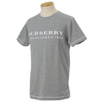 burberry(o[o[) ROOSE SLIM GY YTVc 3