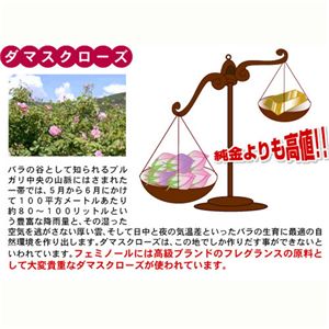 アロメディカフェミノール
