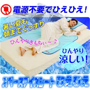 【アウトラスト使用】スペースアイスシートひえひえ シングルショートタイプ